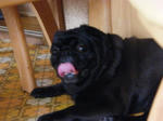 2008_07040028.jpg