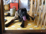 2008_07040029.jpg
