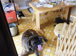 2008_07040030.jpg