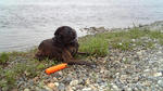 2008_07060010.JPG