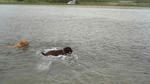 2008_07060011.jpg