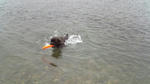 2008_07060012.jpg