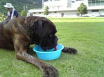 2008_07190003.JPG