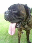 2008_07190004.JPG