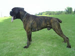 2008_07190005.JPG