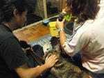 2008_08160023.JPG