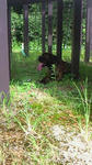 2008_08150019.JPG