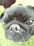 2008_09010005.JPG