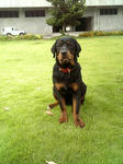 2008_09070004.JPG