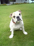 2008_09070005.JPG