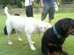 2008_09070006.JPG