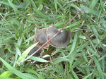 2008_09090001.JPG