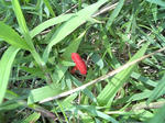 2008_09090002.JPG