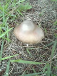2008_09090003.JPG