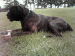 2008_09190001.jpg