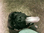 2008_09190004.jpg