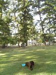 2008_10180005.JPG