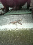 2008_10300004.jpg