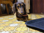 2008_11100004.jpg
