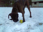 2008_12070025.jpg