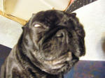 2009_01060008.jpg
