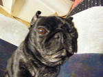 2009_01060009.jpg