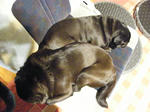 2009_01060007.jpg