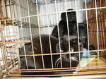 2009_01150008.jpg