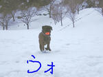 2009_01160008.jpg