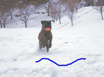 2009_01160009.jpg