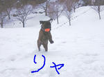 2009_01160010.jpg