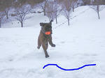2009_01160011.jpg