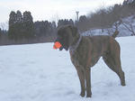 2009_01160028.jpg