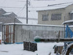 2009_01250012.jpg