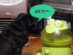 2009_01280005.jpg