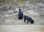 2009_02010002.jpg