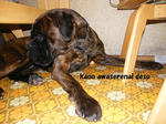 2009_02110006.JPG