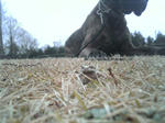 2009_02250014.jpg