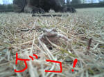 2009_02250013.jpg