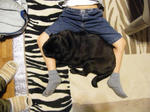 2009_04150004.jpg
