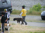 2009_05240057.jpg