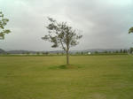 2009_05160013.jpg