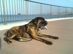2009_06110009.jpg