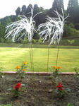 2009_06180003.jpg