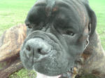 2009_07140002.jpg