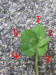 2009_07210013.jpg