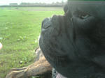 2009_07220005.jpg