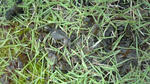 2009_08070006.jpg