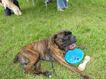 2009_08230051.jpg