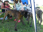 2009_08230121.JPG